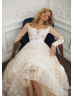 Ivory Lace Tulle Low Back Wedding Dress